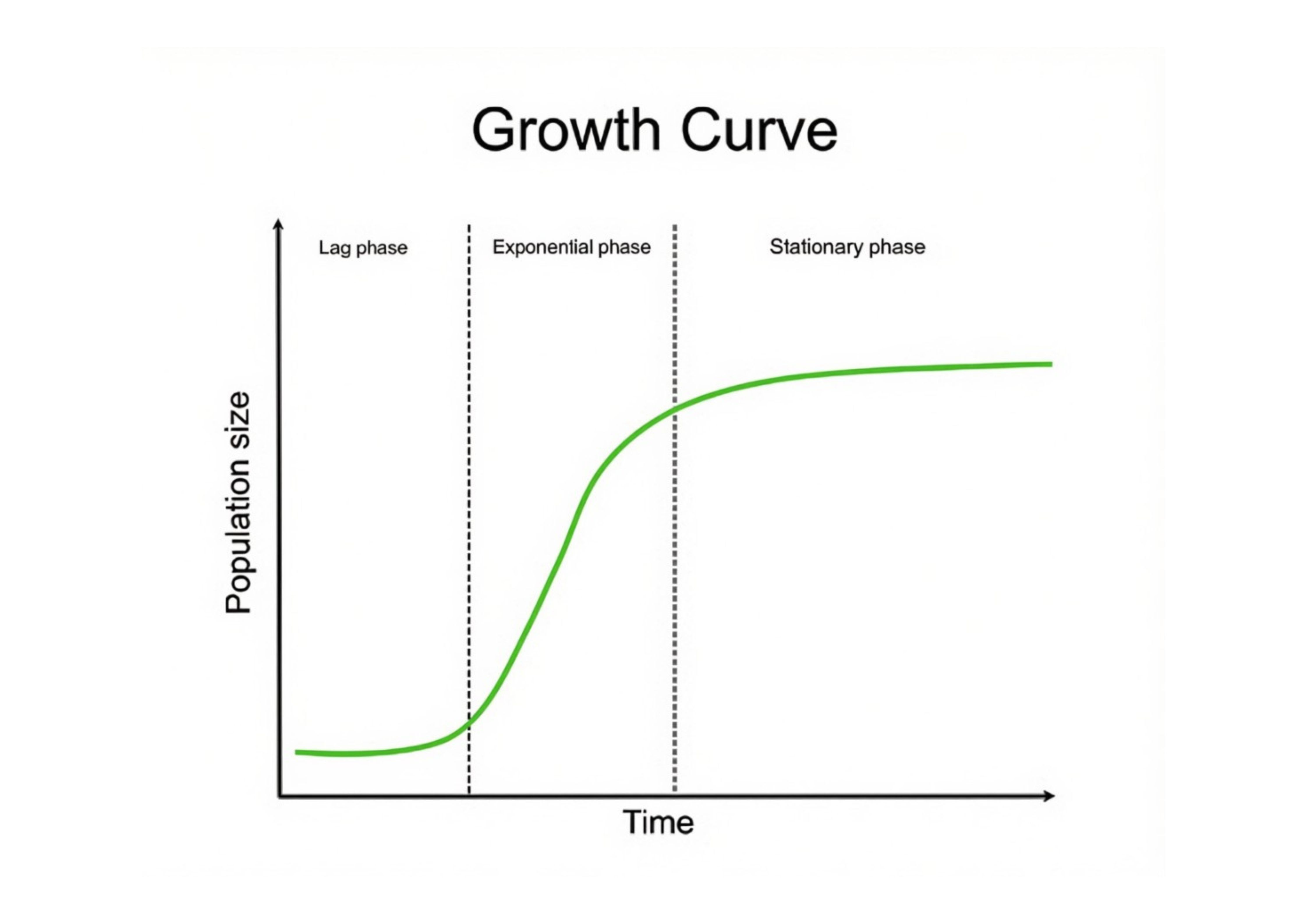Figure 1: Classic microbial growth curve