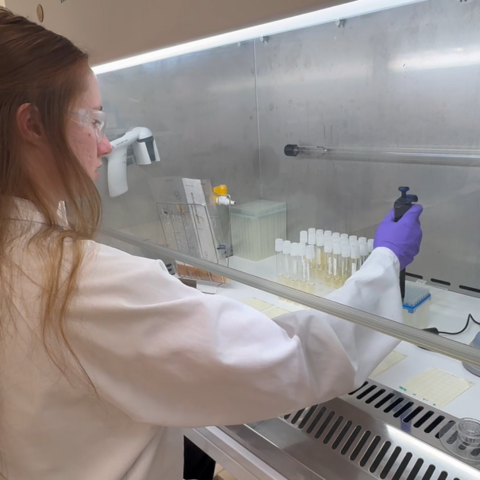 What does microbial control mean in food processing?
