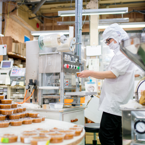 Antimicrobial agents for food processing: definition, types and uses