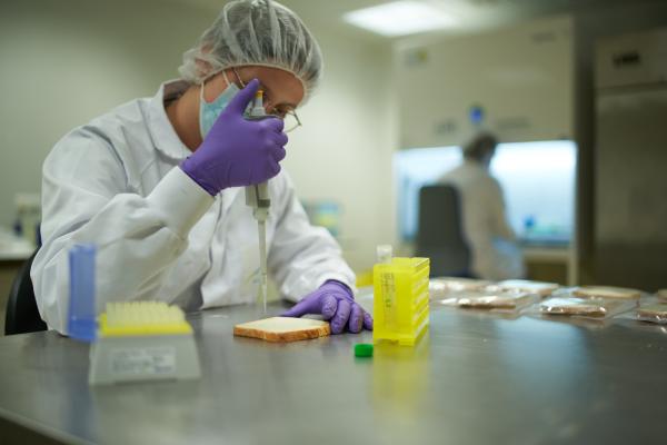 application lab