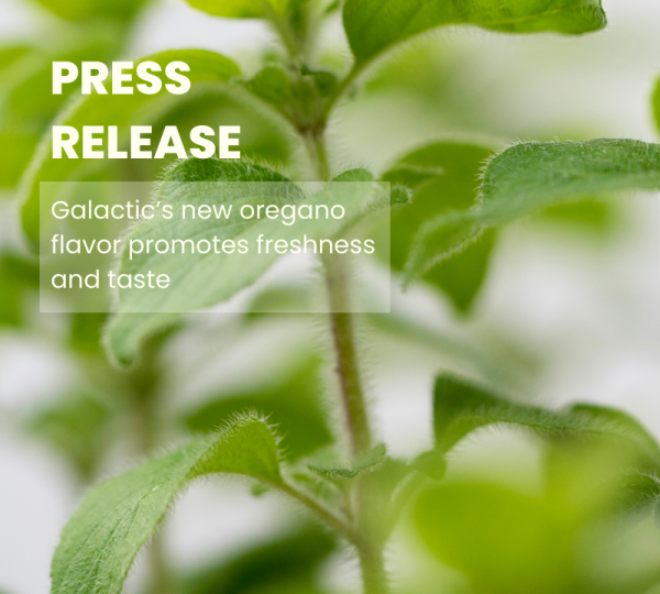 press PR, oregano, flavor, Galactic, freshness, taste,