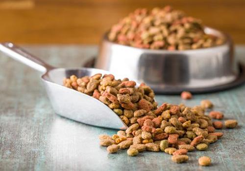 Pet food