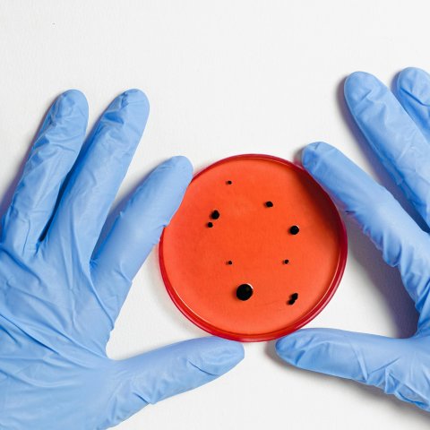 antimicrobial food additives, antimicrobial additives for food, food safety additives, shelf-life extension, microbial control in food, food additive regulation, GRAS antimicrobials, bacteriostatic and bactericidal agents