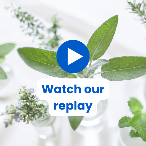 flavor, Galactic, herbs, oregano, lavender, flowers, basil