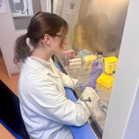 Galactic, metagenomic, lab, food application lab, antimicrobial, preservative